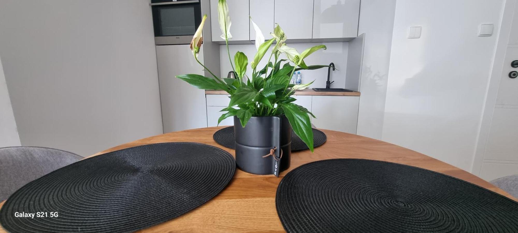 Apartament Moje Dabrowno Eksteriør bilde