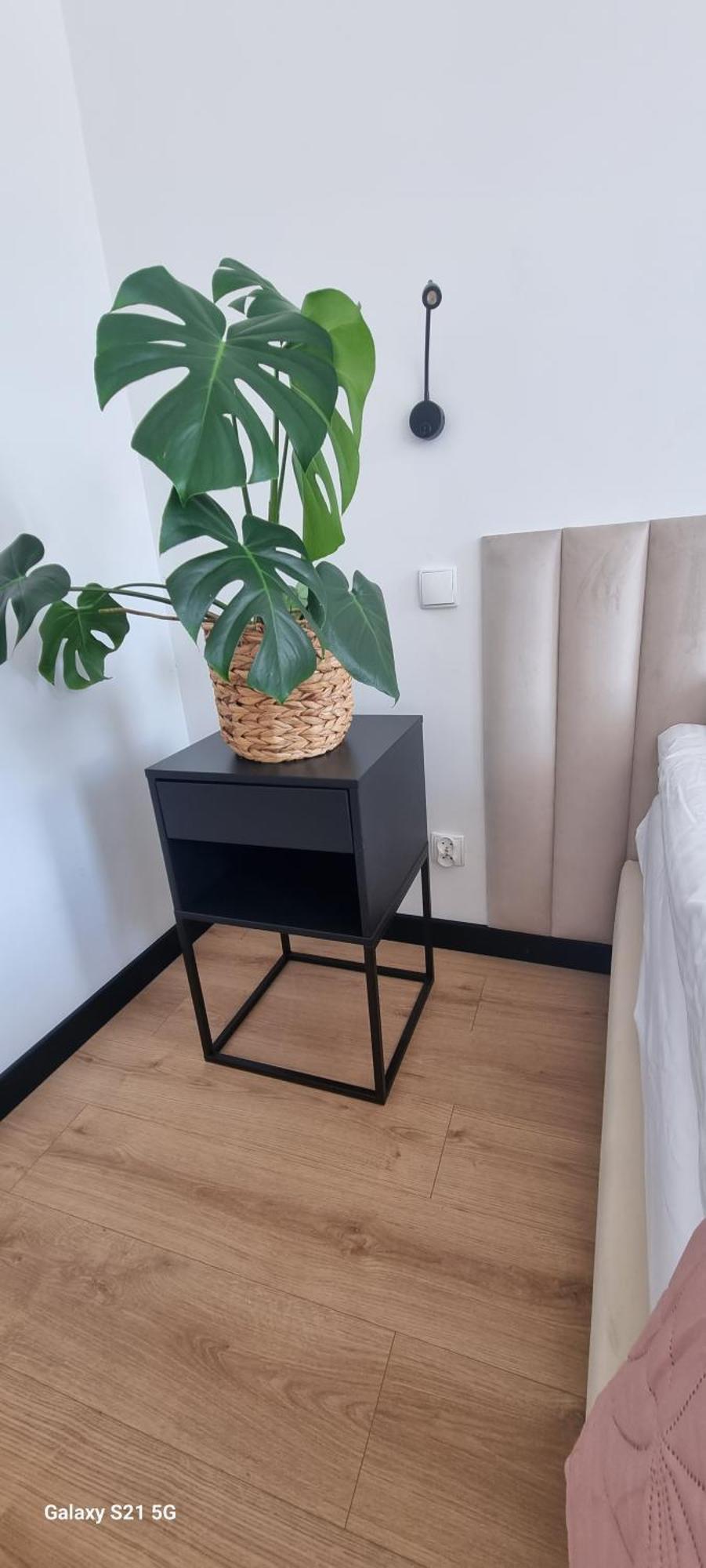 Apartament Moje Dabrowno Eksteriør bilde